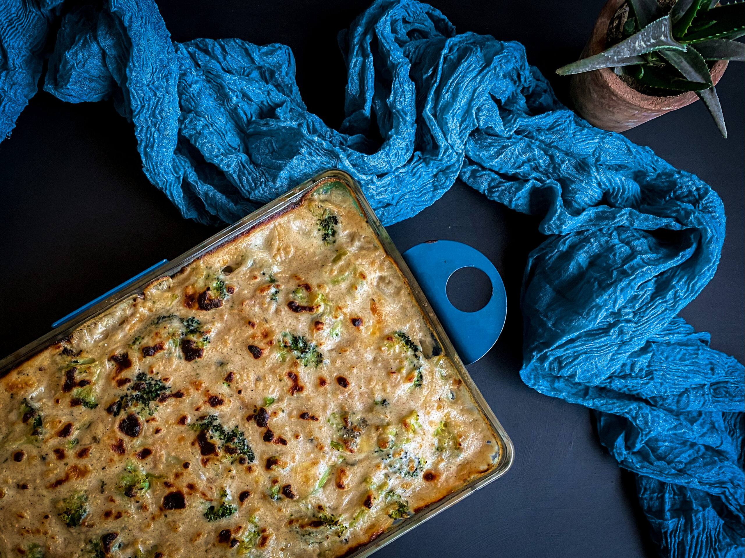 Delicious Skinny Blue Cheese and Broccoli Casserole